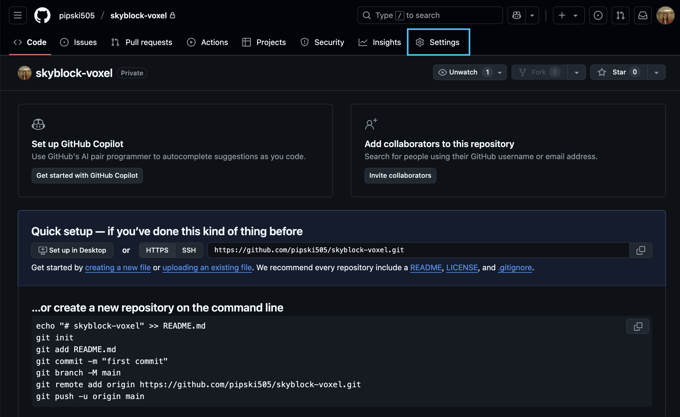Repository settings
